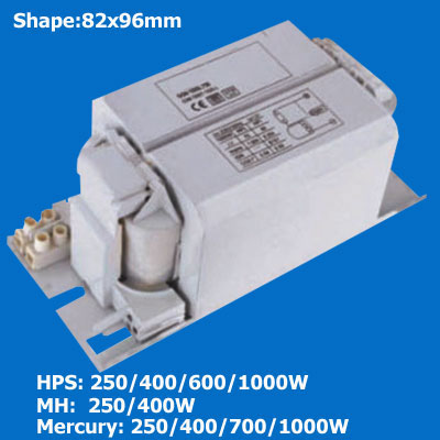 Sodium on sale lamp ballast